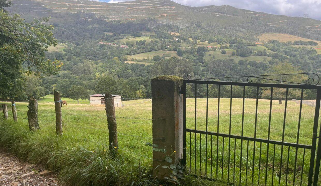WhatsApp Image 2026-09-01 at 22.25.38 (2)